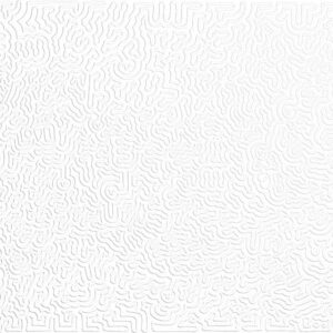 Whiteout | Fine Art prints by tigheyay